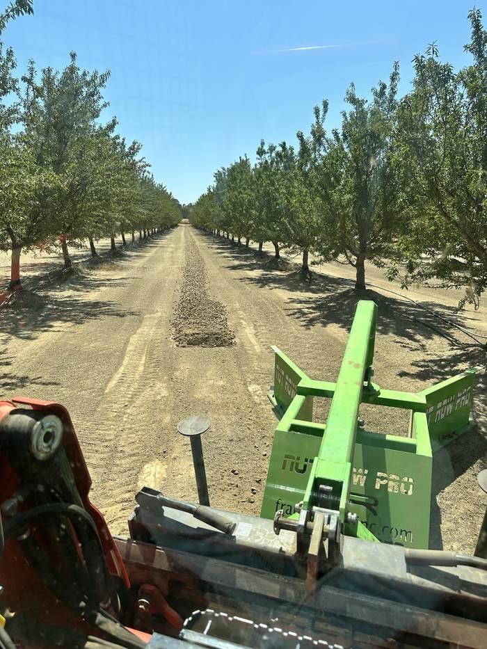 View from the operator's seat down an almond row, sweeper head ahead and windrow forming.